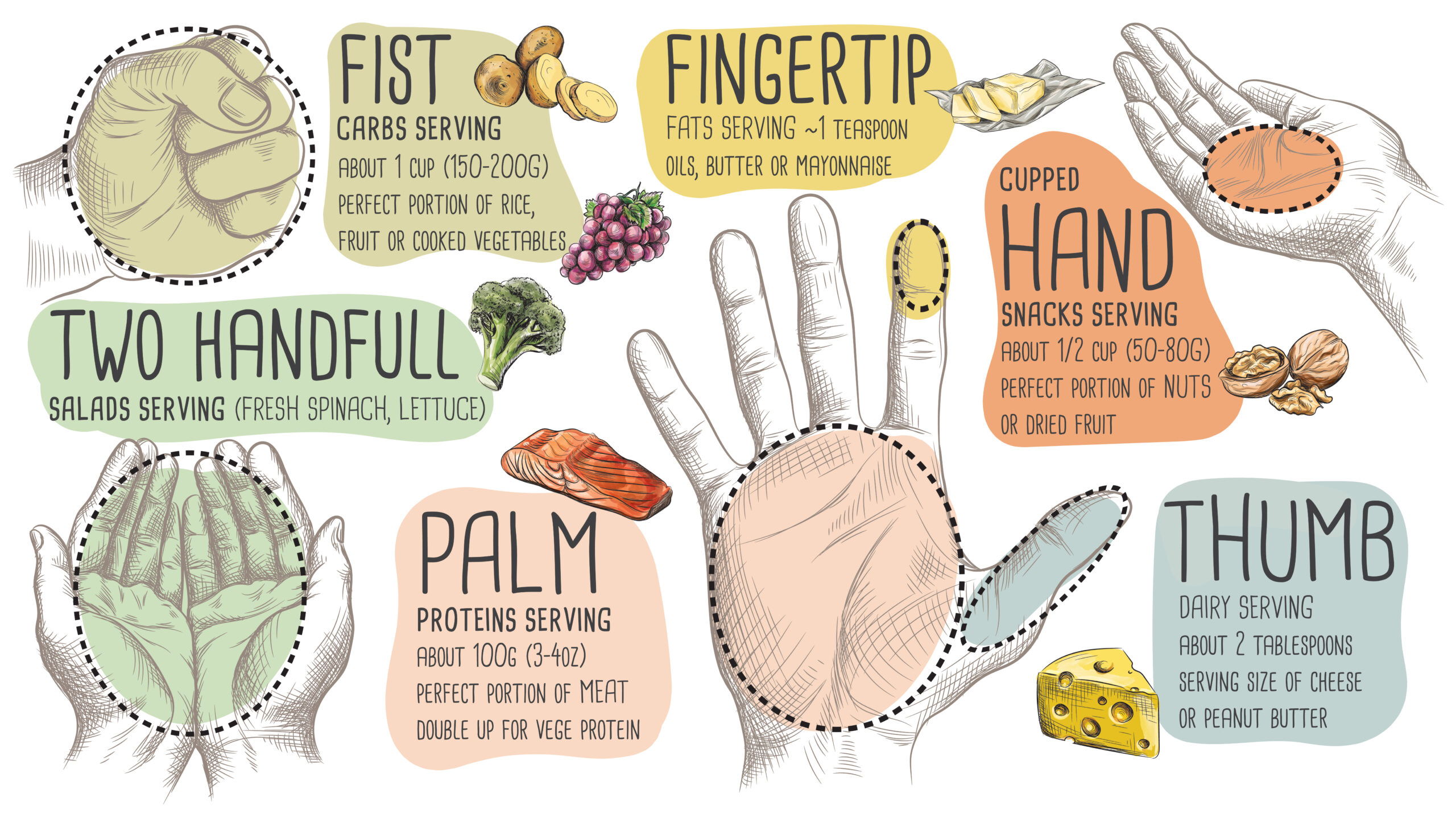 hand diagram of portions